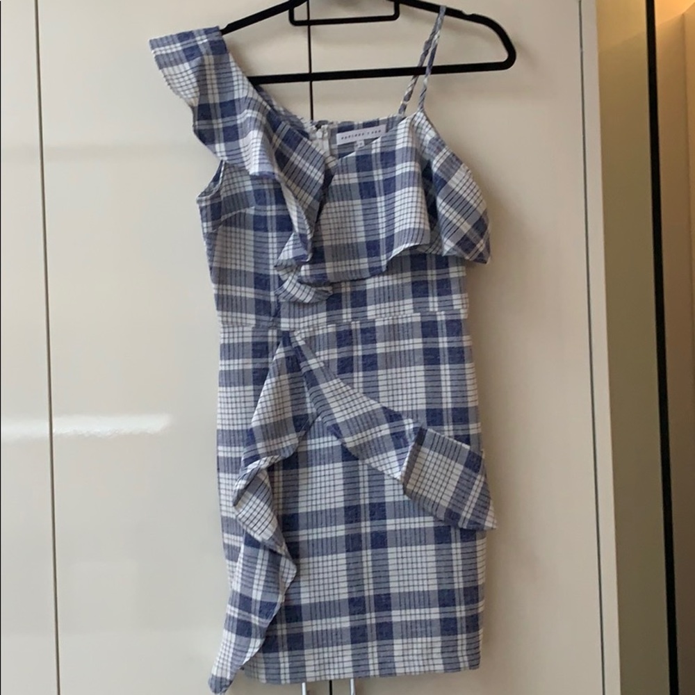 Beautiful Endless Rose Gingham Dress!